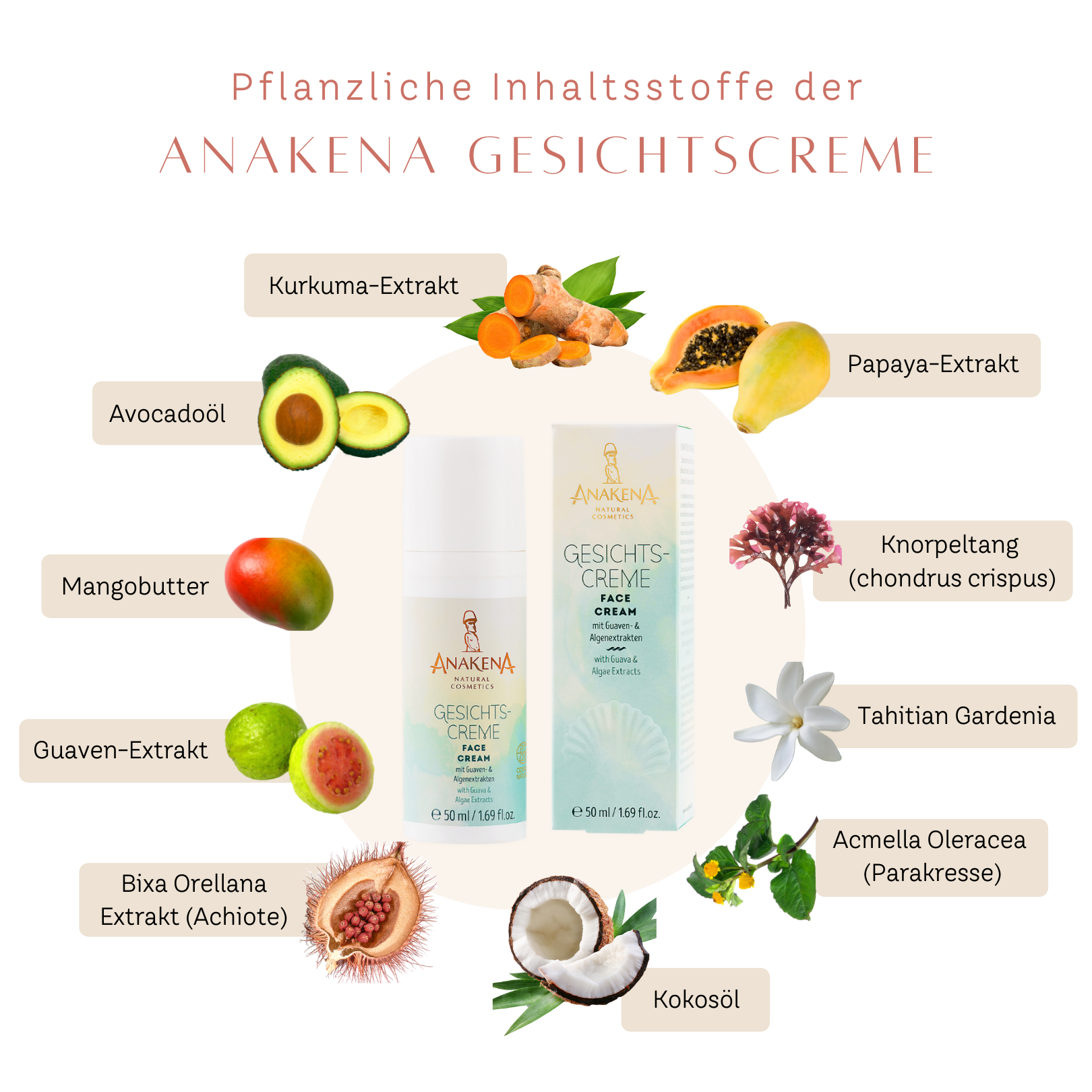 Lesen Sie mehr über den Artikel Warum ist pflanzenbasierte Hautpflege die Zukunft der natürlichen Schönheit?