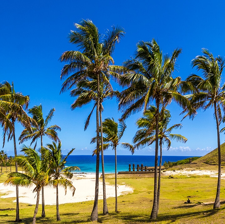 Read more about the article Our Origins…