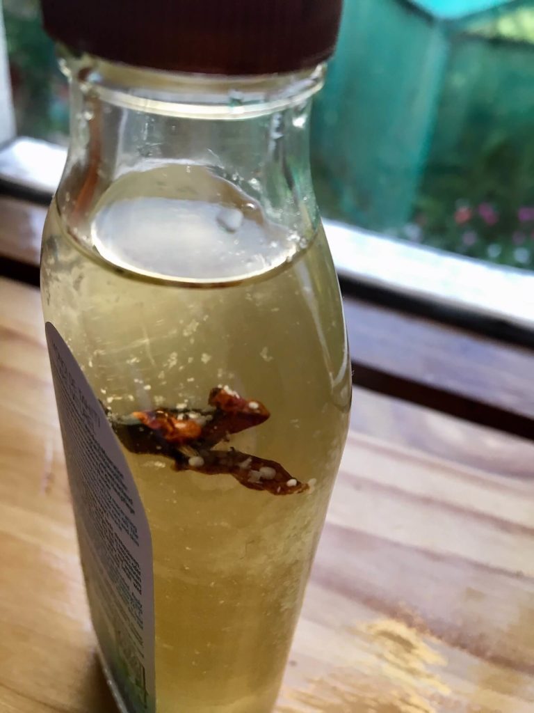 Monoi flower IMG 6724 1