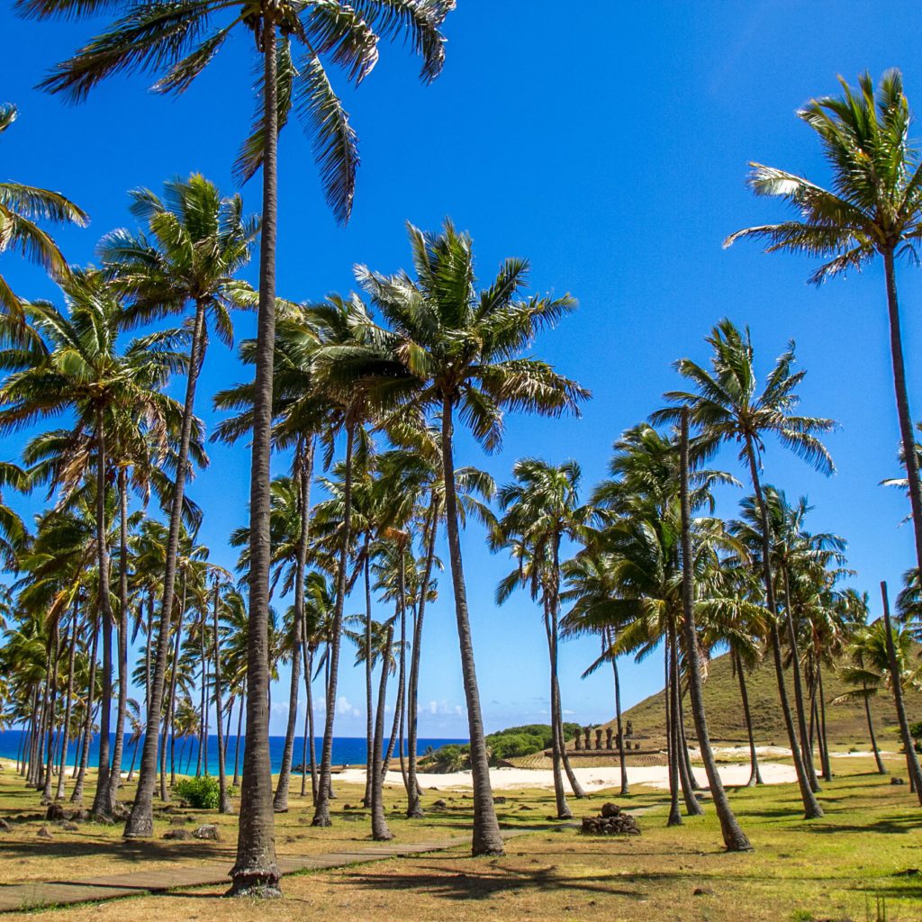 Cosa significa "Anakena"... 1 Spiaggia ANAKENA