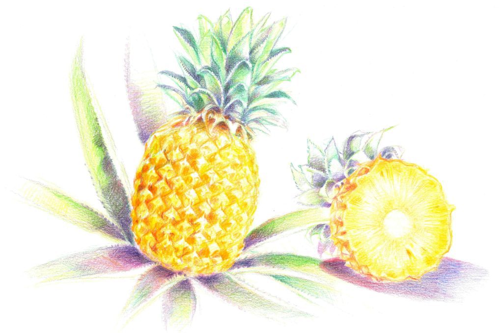 Ananas
