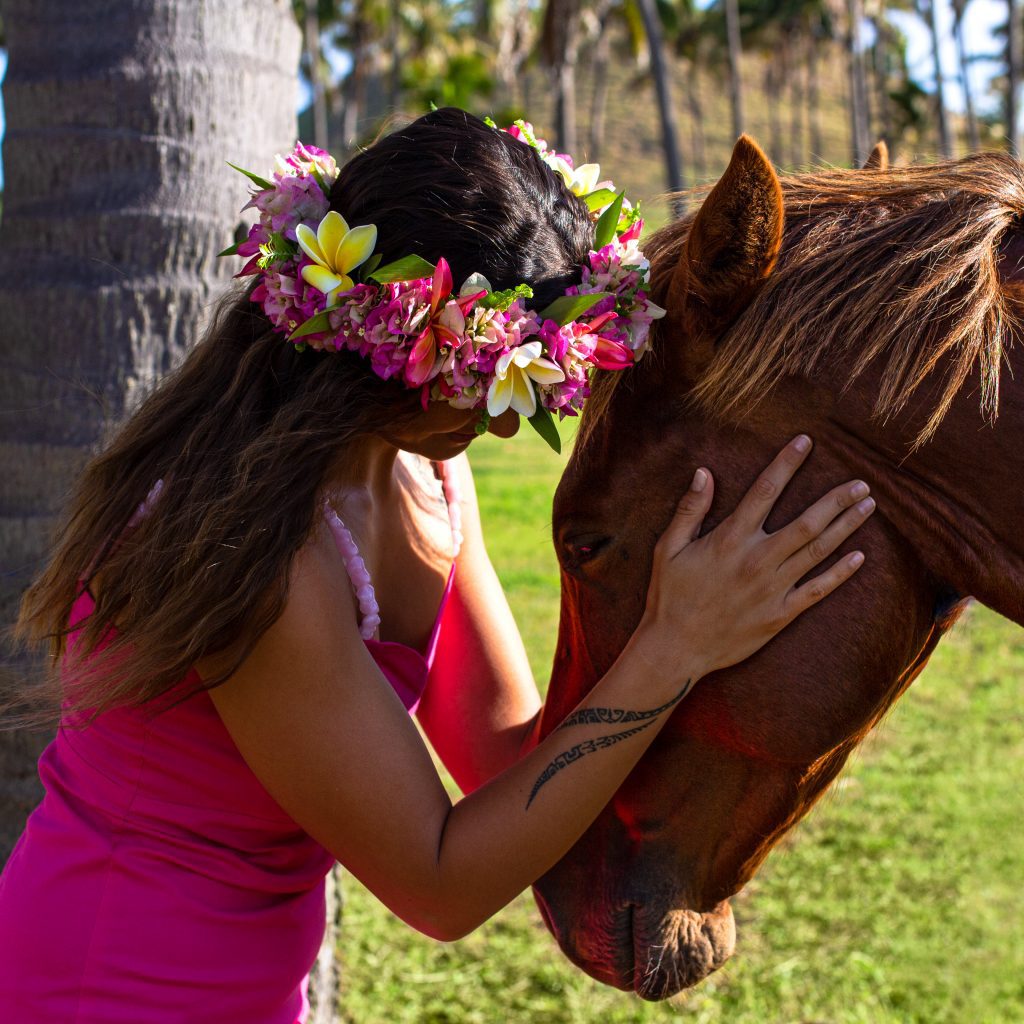IMG 6638 Wai avec cheval sans laisse bleue INSTAGRAM Radixweb