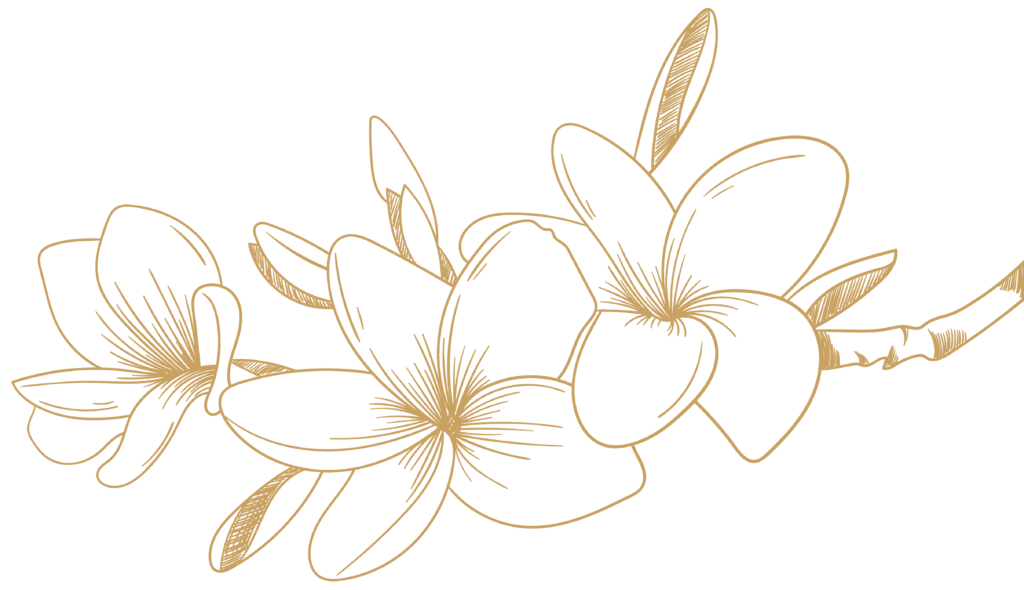 Die Bedeutung der Blumen im Leben und der Kultur Polynesiens 18 frangipani tipanie plumeria