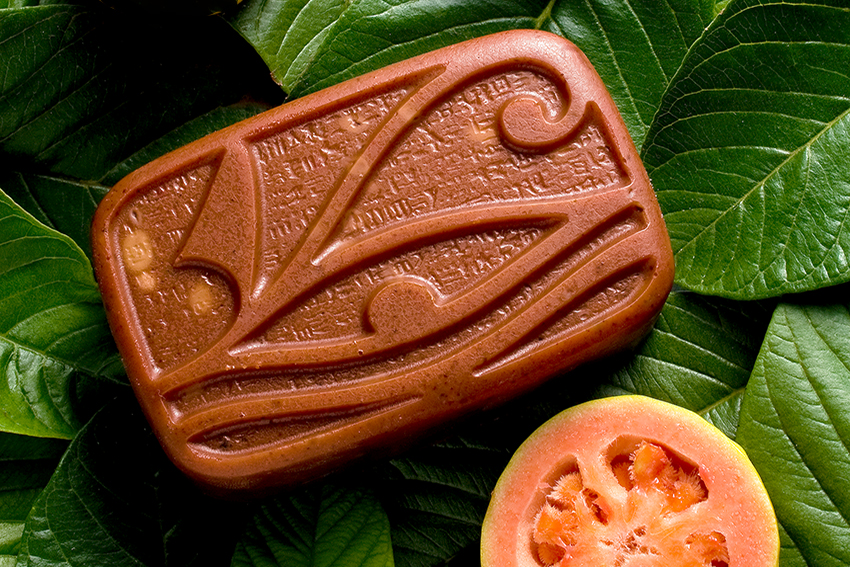 jabon guayaba MAR 0104 Ausschnitt